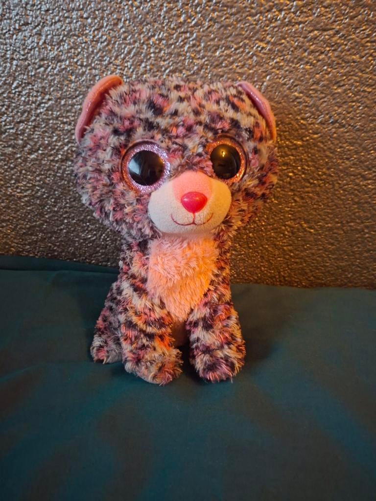 Ty Beanie boo Kat, Gebruikt, Overige karakters, Ophalen of Verzenden, Meerkleurig