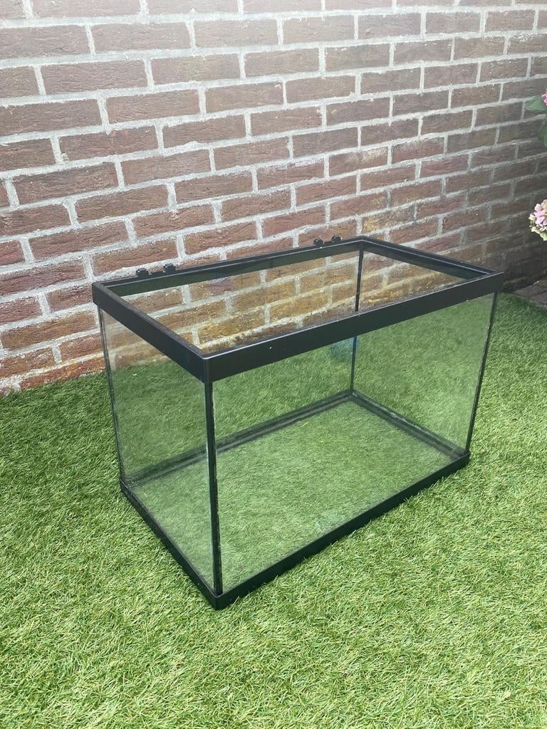 Superfish aquarium 55L met losse lamp, Dieren en Toebehoren, Ophalen, Gebruikt, Leeg aquarium, Superfish