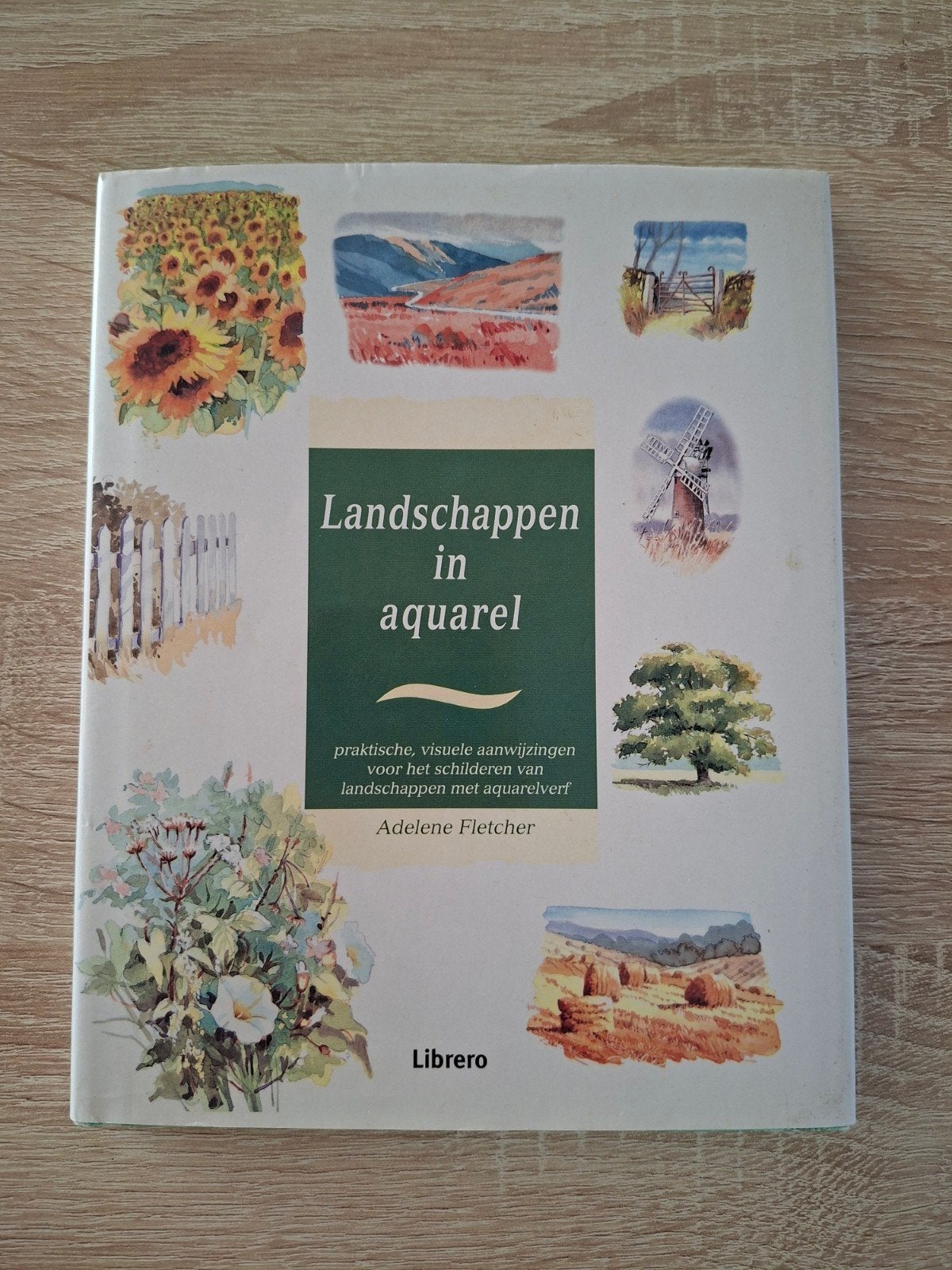 Landschappen in aquarel - Praktische aanwijzingen, Hobby en Vrije tijd, Ophalen of Verzenden, Zo goed als nieuw