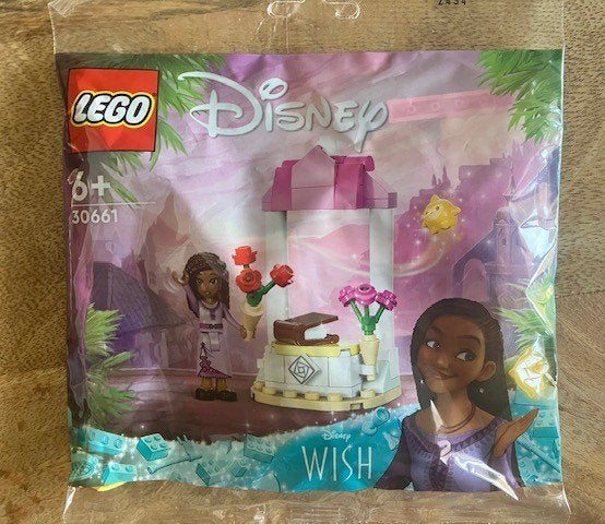 Nieuw Lego Disney Asha's Welcome Cabin Polybag 30661, Lego, Nieuw, Ophalen of Verzenden, Compleet