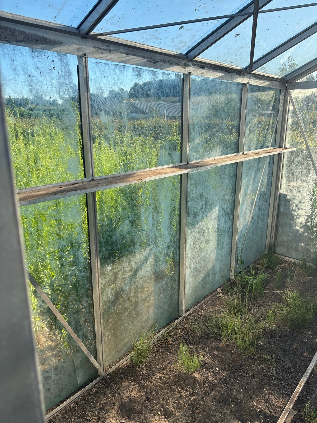 Ruime glazen kweekkas - 2.37x2.38x3.10m, Ophalen, Gebruikt, Kweekkas, Glas