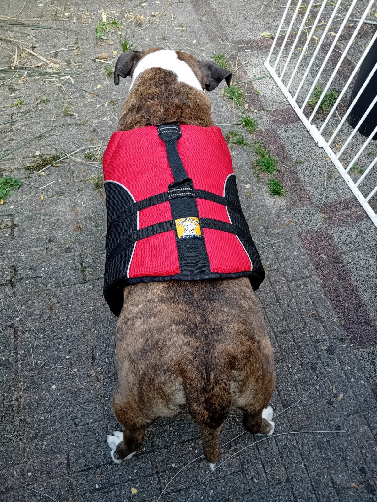 Hondenzwemvest RuffWear, Ophalen of Verzenden