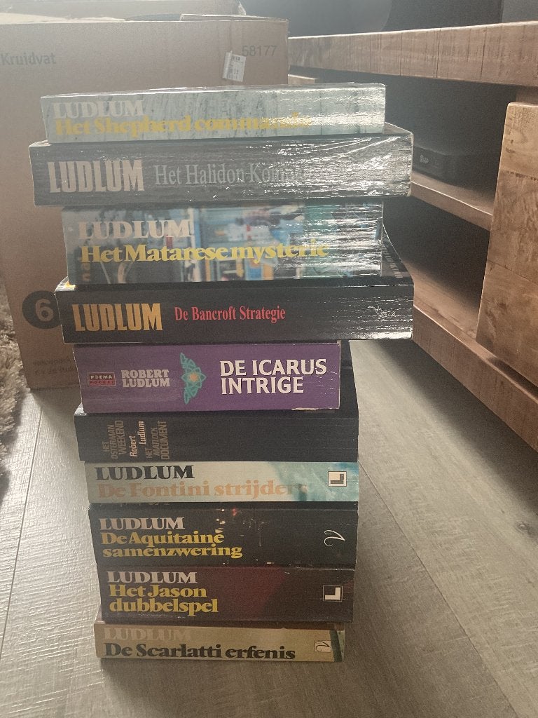 Ludlum, Gelezen, Ophalen of Verzenden, Nederland, Robert Ludlum