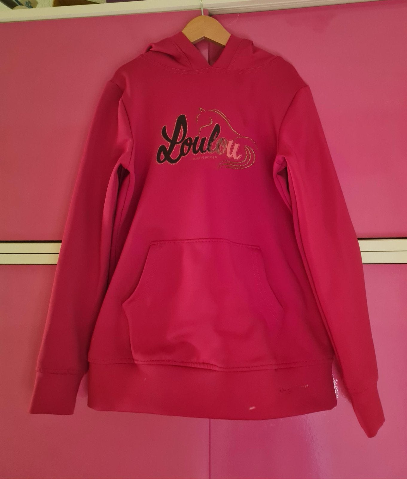 Roze Harry's Horse LouLou hoodie maat 152, Ophalen of Verzenden, Zo goed als nieuw, Meisje, Trui of Vest