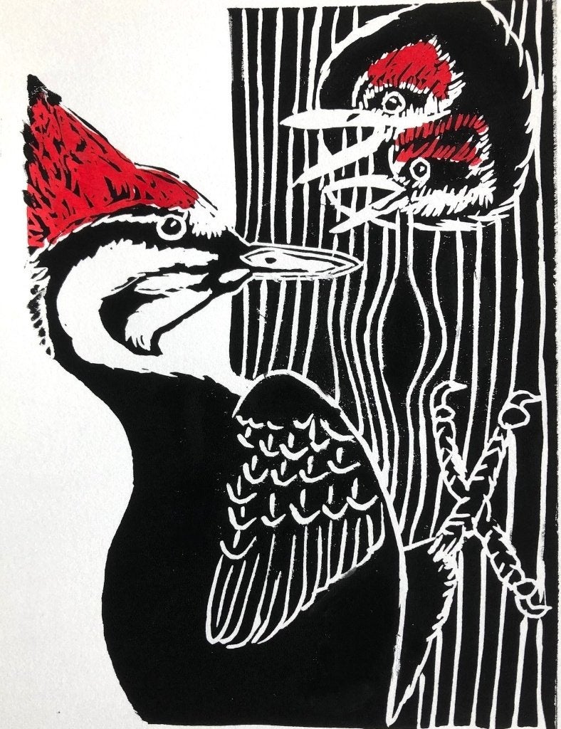 Linodruk (kleuren) van een specht met jongen, Antiek en Kunst, Gelimiteerde oplage, Ophalen of Verzenden, Dieren en Natuur, Linosnede