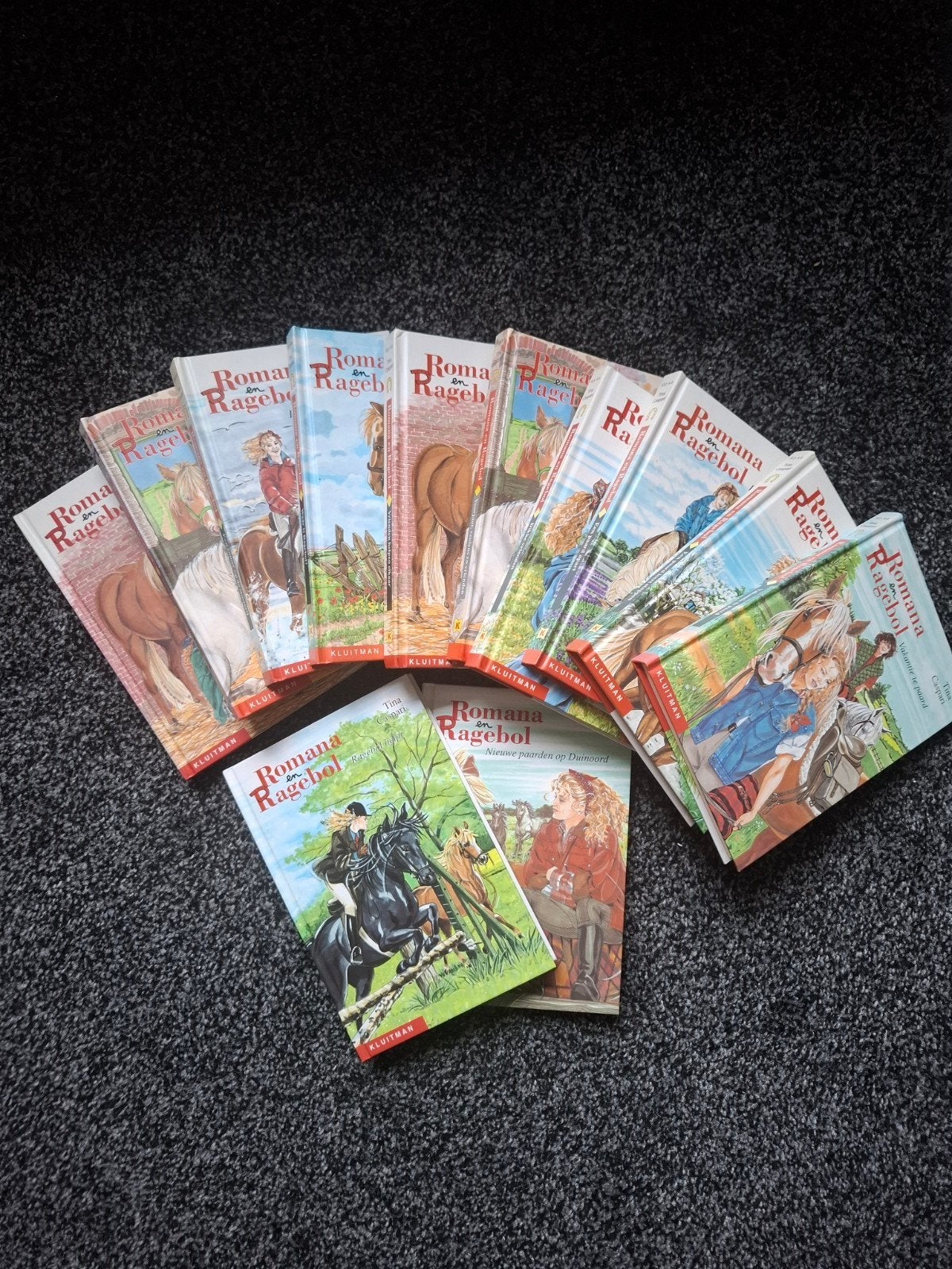 Romana en Ragebol boekenreeks - 10 delen, Boeken, Ophalen, Gelezen, Tina Borg, Nederland