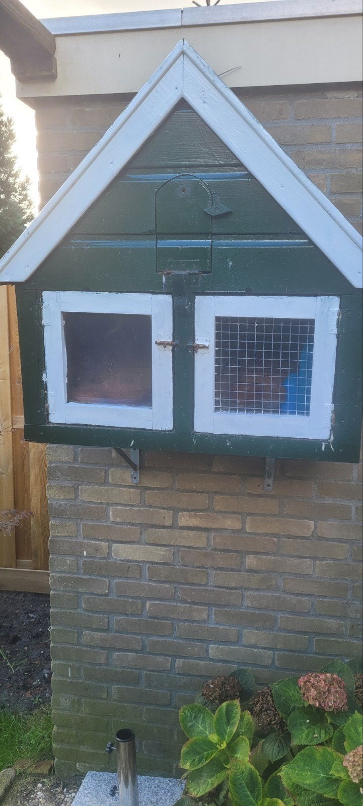 te koop gevraagd duivenhok, Dieren en Toebehoren, Ophalen of Verzenden, Hout, Vogelkooi