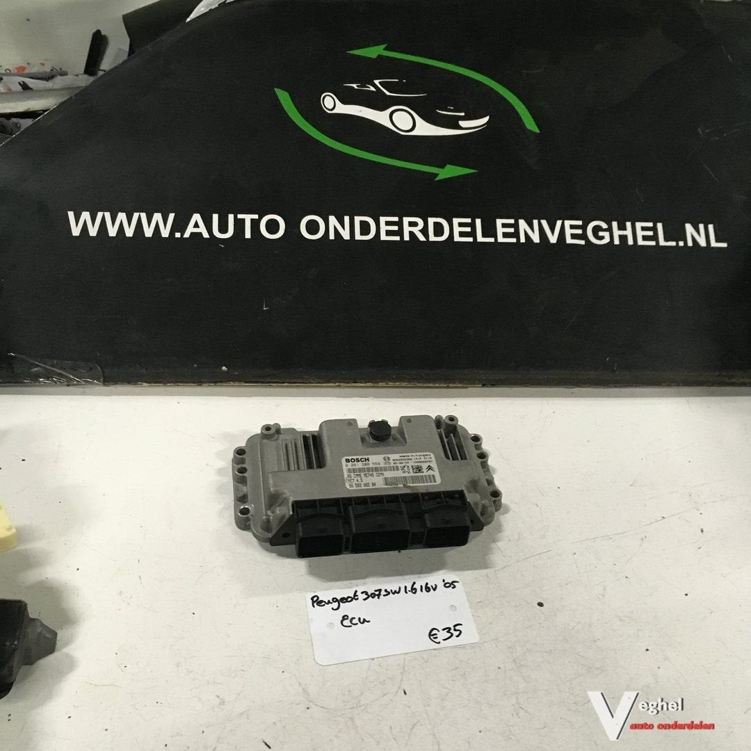 Peugeot 307 SW 1.6 16v ECU Bosch 0 261 208 558, Gebruikt, -, -, Ophalen of Verzenden