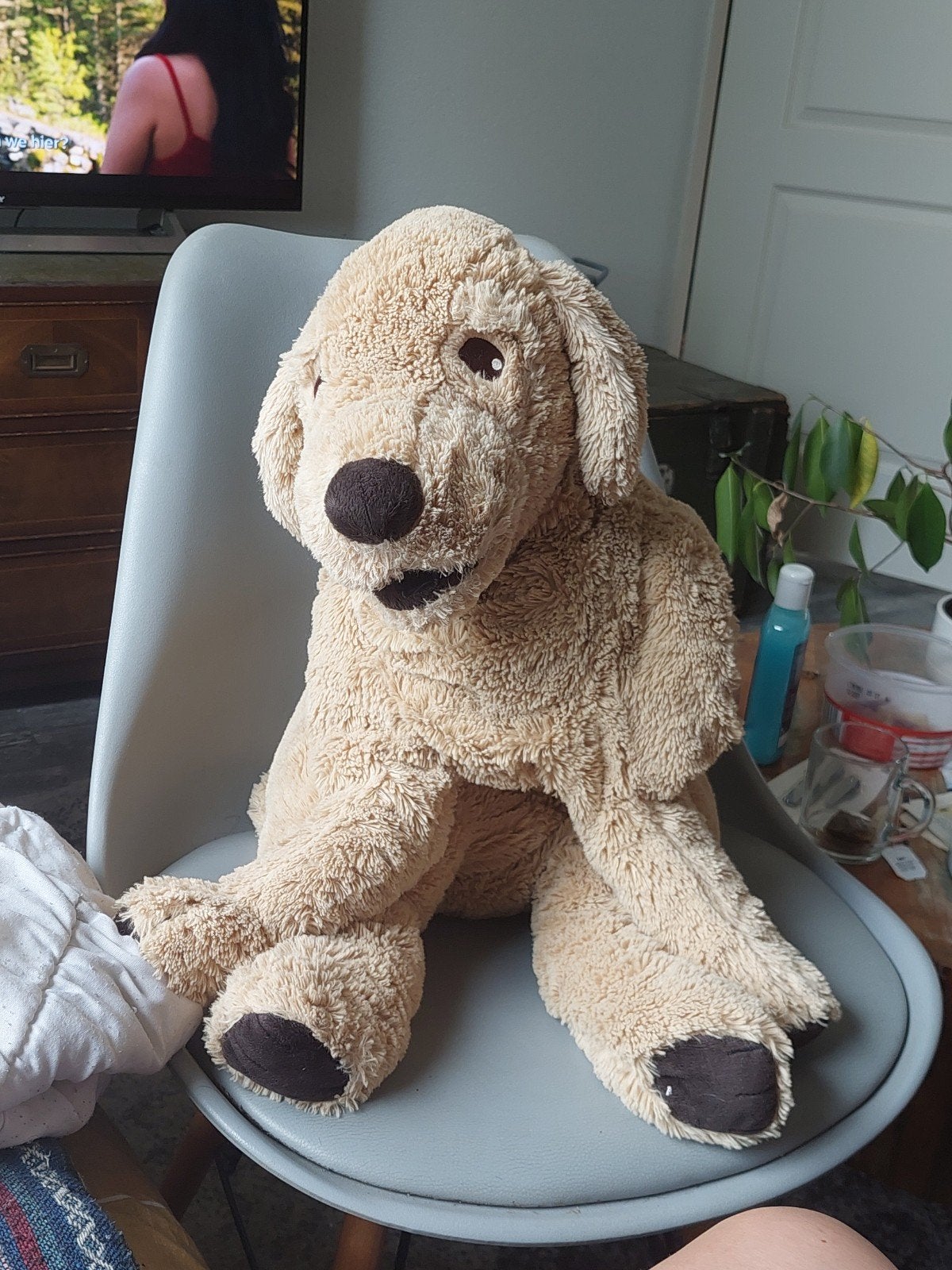 ikea grote labrador knuffel, Zo goed als nieuw, Middelgroot (20 tot 80 cm), Beige, Hond