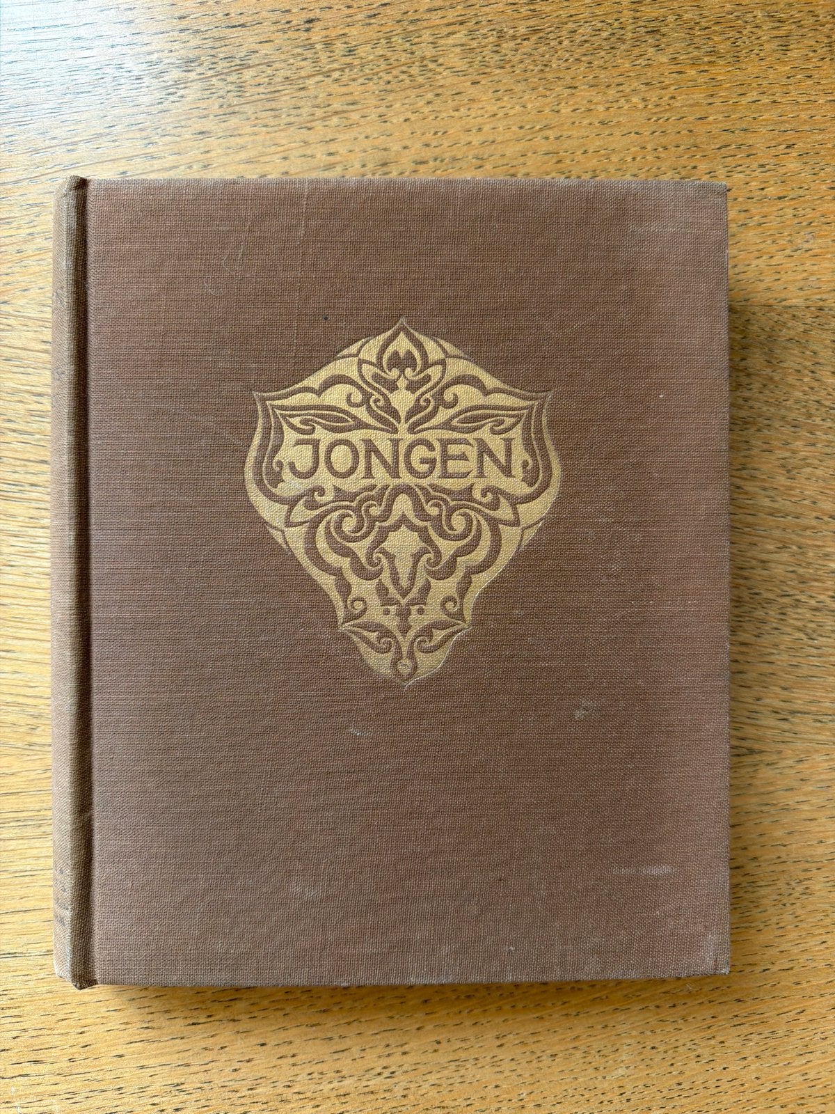 Jongen: Bladzijden uit een Levensboek - M.M. Stiemens-Hopman, Ophalen of Verzenden, Gelezen