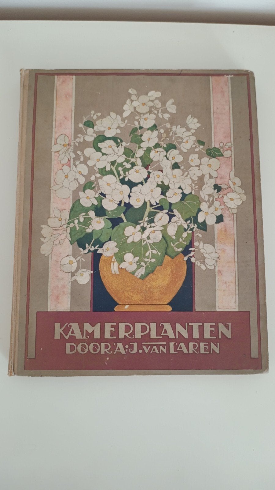 Kamerplanten A.J. van Laren Verkade plaatjesalbum 1928, Ophalen of Verzenden, A.J. van Laren, Plaatjesalbum