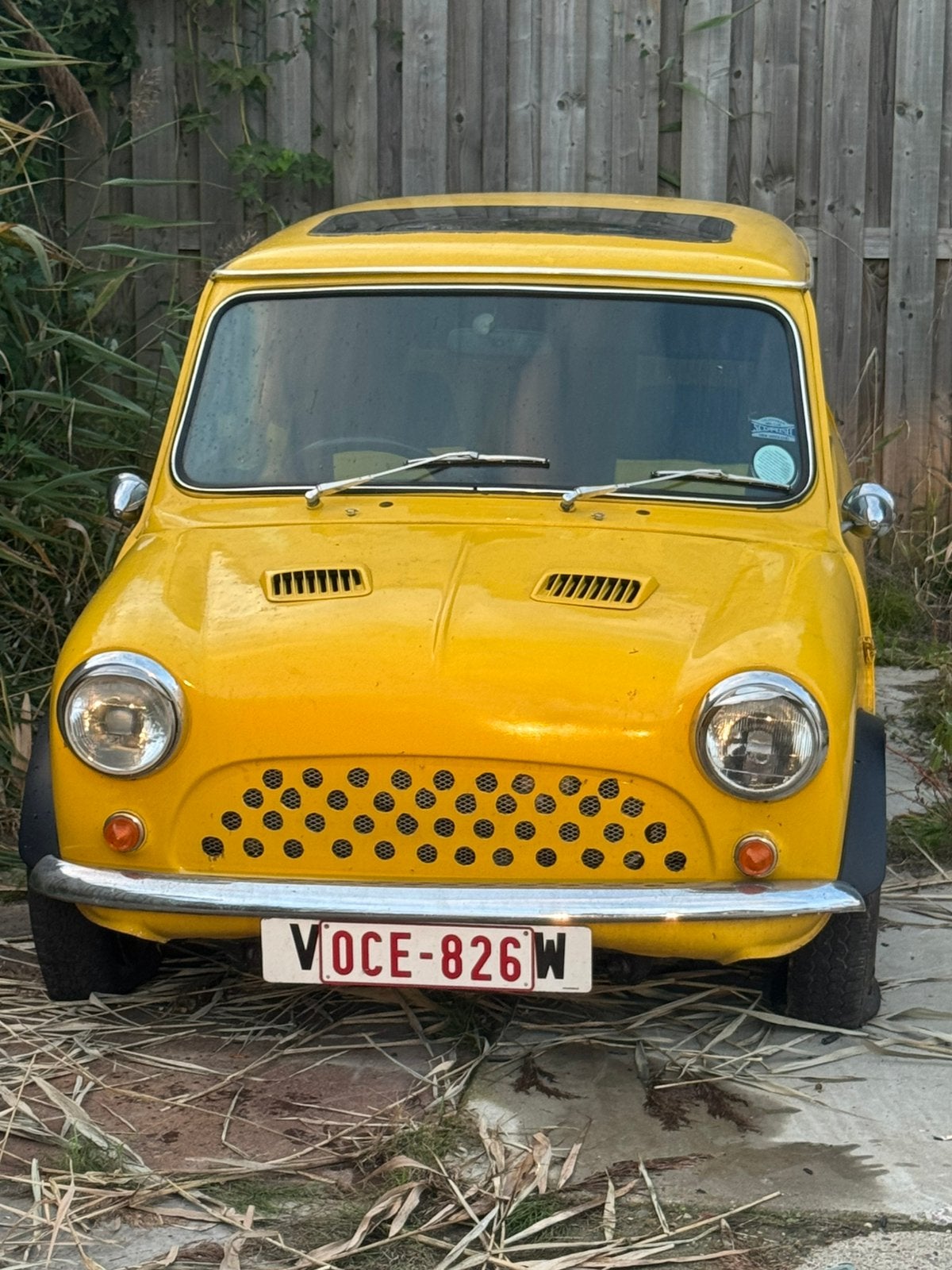 Austin mini loop of sloop, Ophalen of Verzenden, Mini