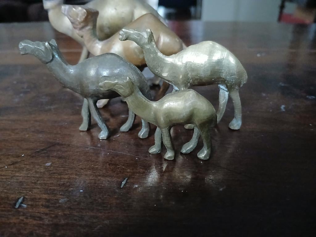 5 messing kamelen, Ophalen of Verzenden, Gebruikt, Boerderijdier, Beeldje of Figuurtje