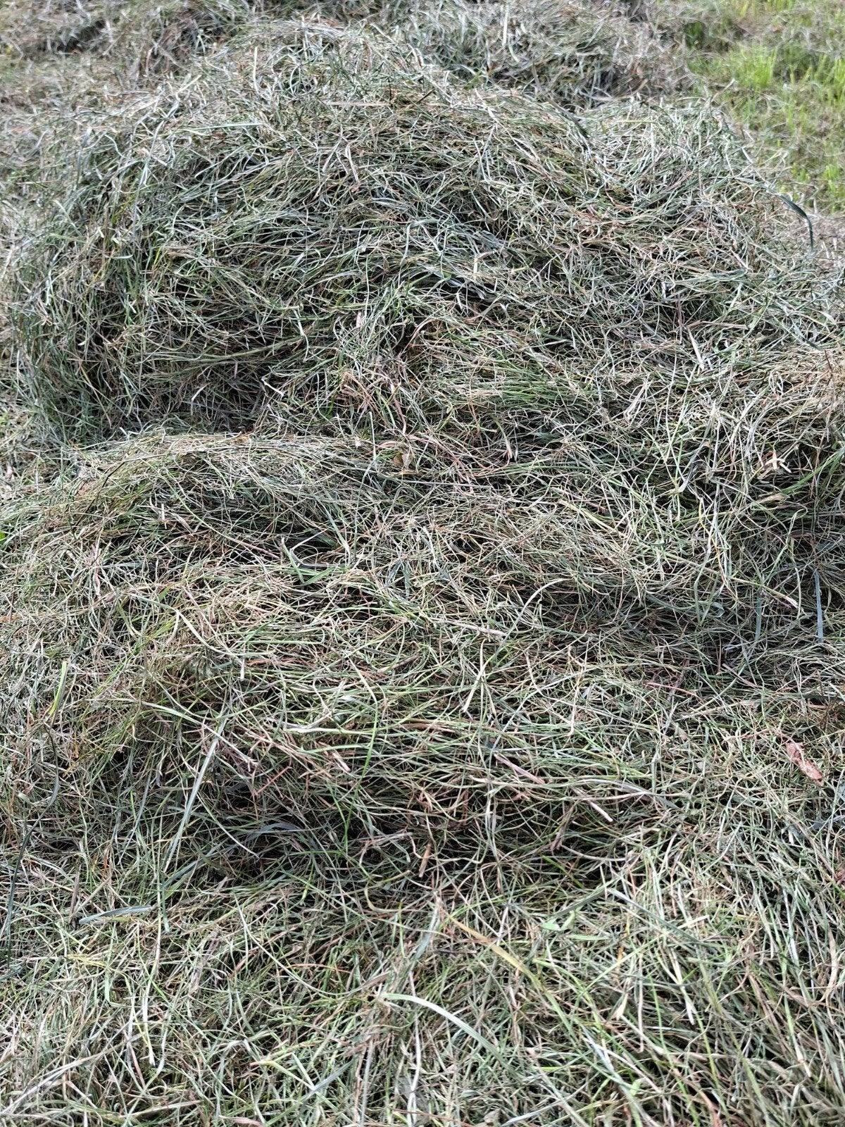 wikkelpakken voordroog gras najaar 2026, Ophalen, Nieuw, 20 m² of meer