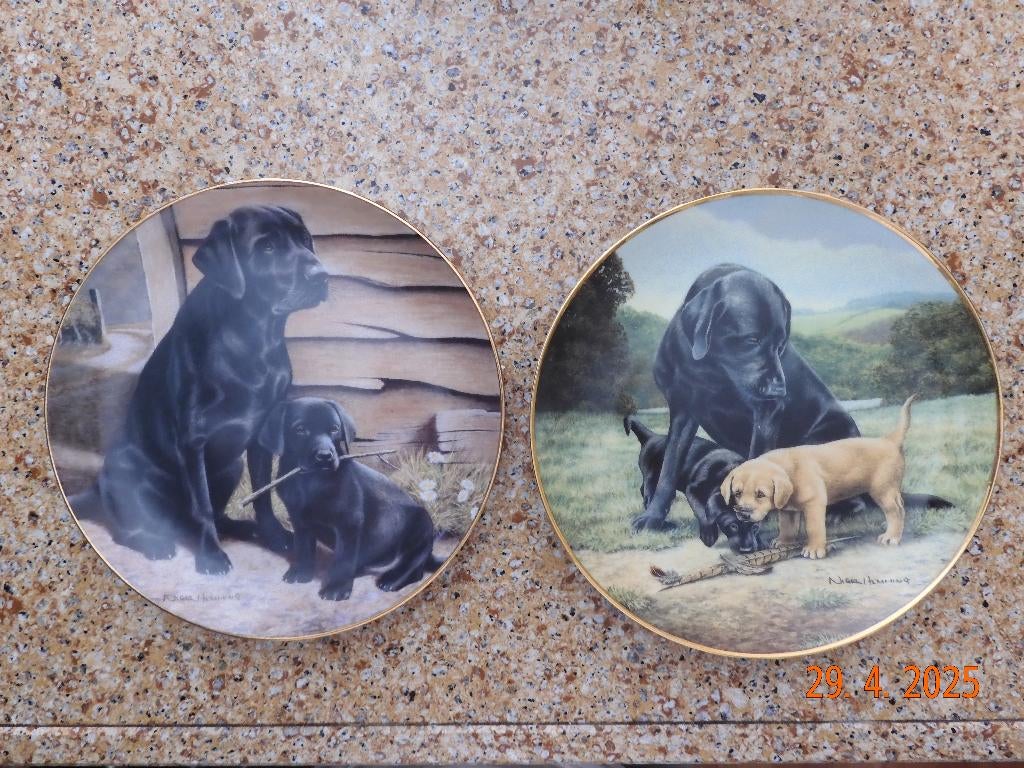 wandborden met Labradors, Ophalen of Verzenden