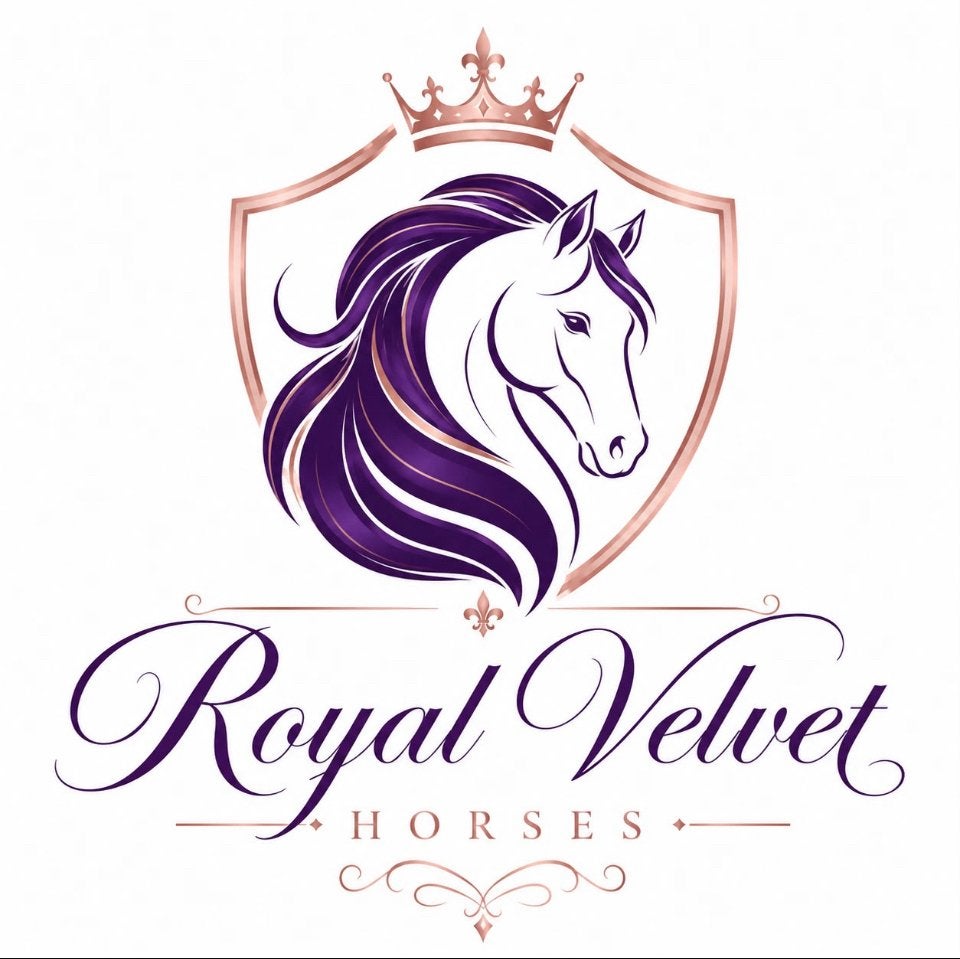 Gezocht paarden en ponys., Dieren en Toebehoren, Meerdere dieren, 160 tot 165 cm, Springpaard, 3 tot 6 jaar