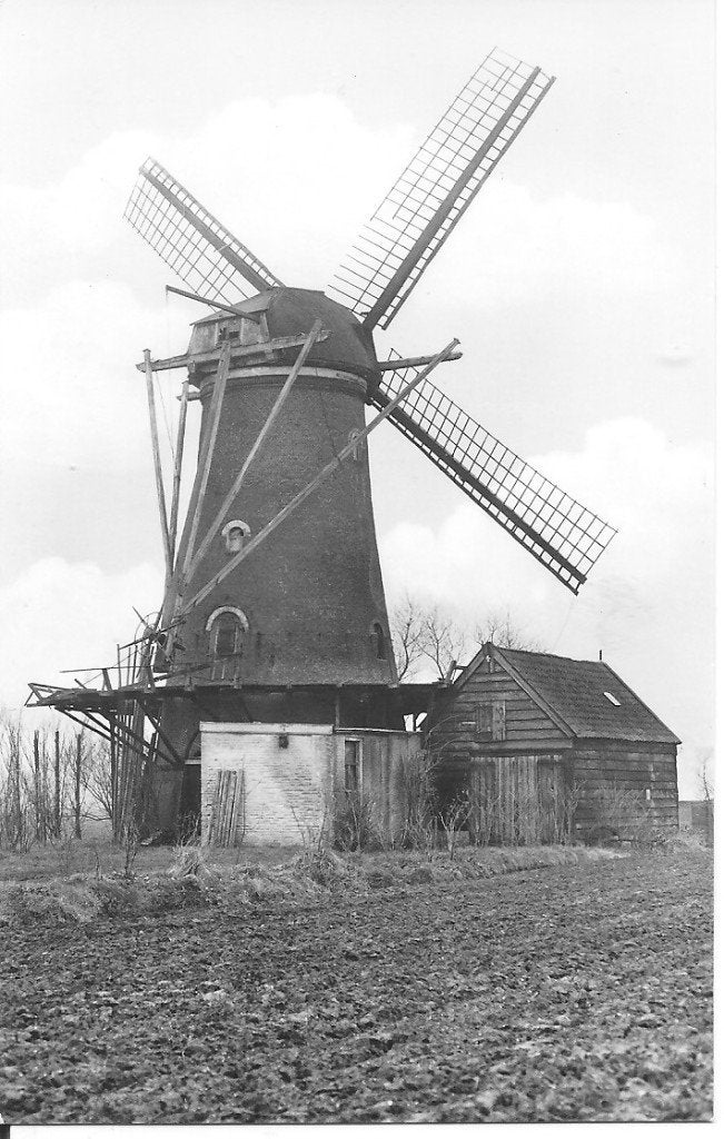 Zonnemaire Korenmolen De Korenbloem - Oude Ansichtkaart, Verzamelen, Ansichtkaarten | Nederland, Ophalen of Verzenden, 1960 tot 1980