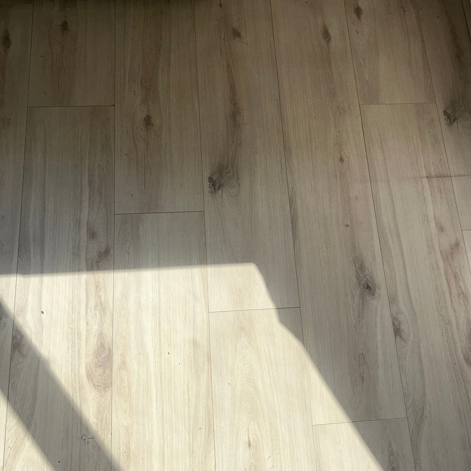 Laminaat licht eiken / beige, Ophalen, Zo goed als nieuw, Beige, Laminaat
