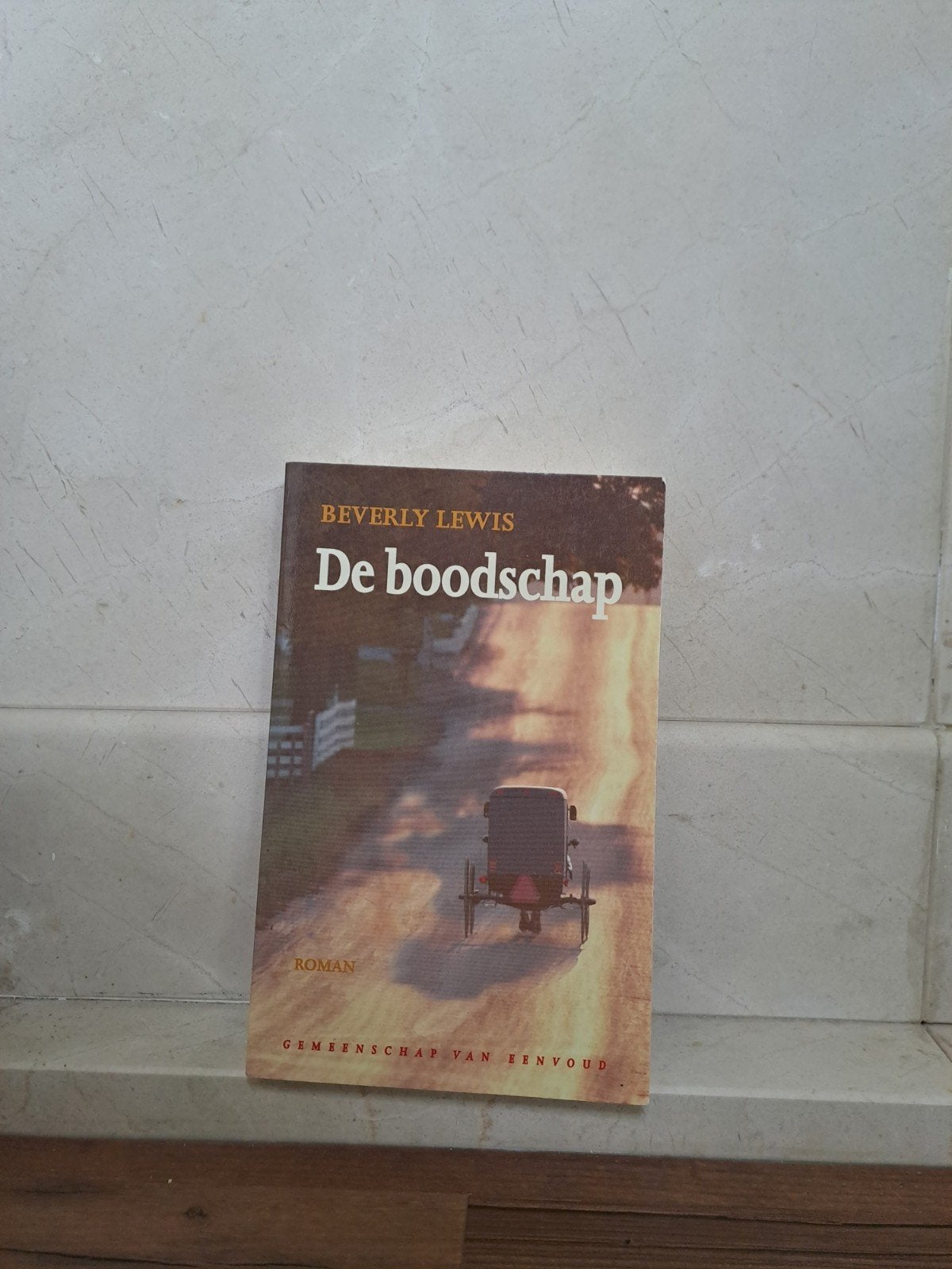 Beverly Lewis - De boodschap, Verzenden, Zo goed als nieuw, Beverly Lewis