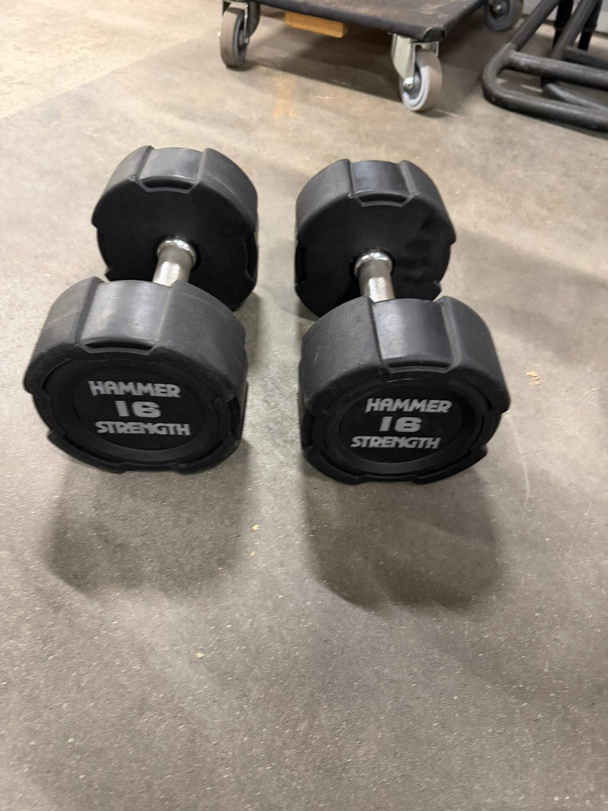 2x16kg Hammer Strength Rubberen Vaste Dumbells