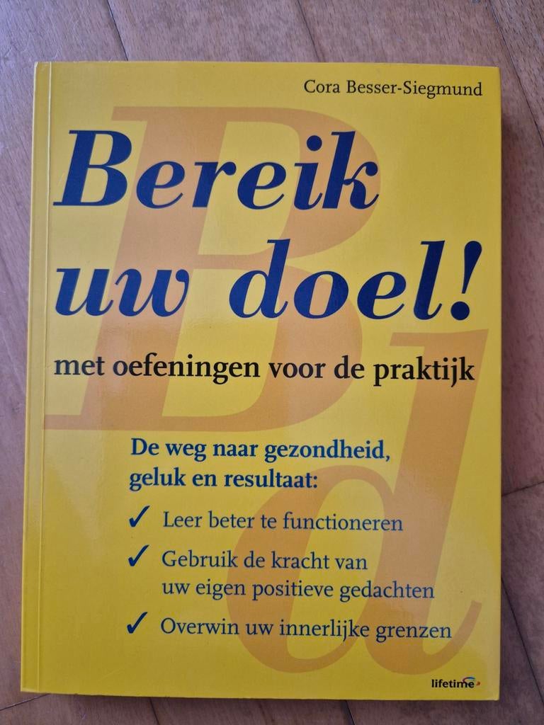 Bereik uw doel! - Cora Besser-Siegmund, Boeken, Psychologie, Zo goed als nieuw, Ophalen of Verzenden