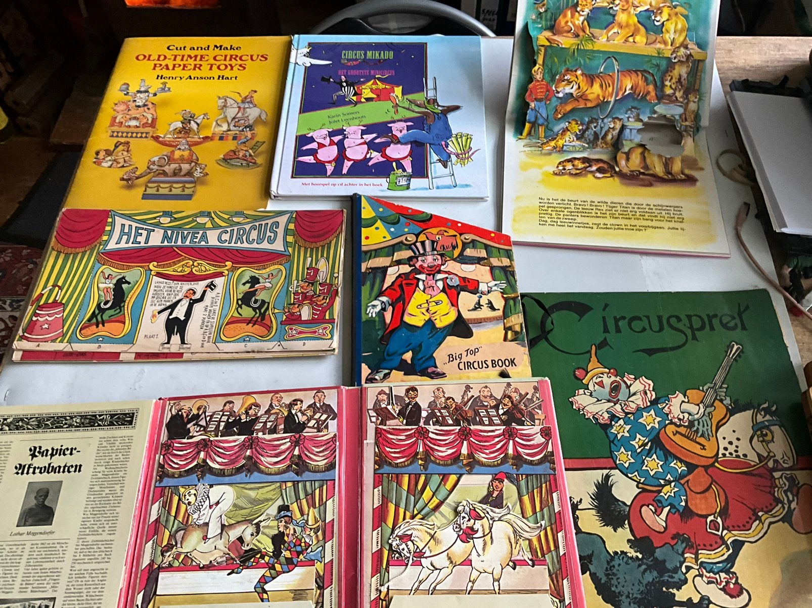 Circus, Eén stripboek, Ophalen of Verzenden, Zo goed als nieuw