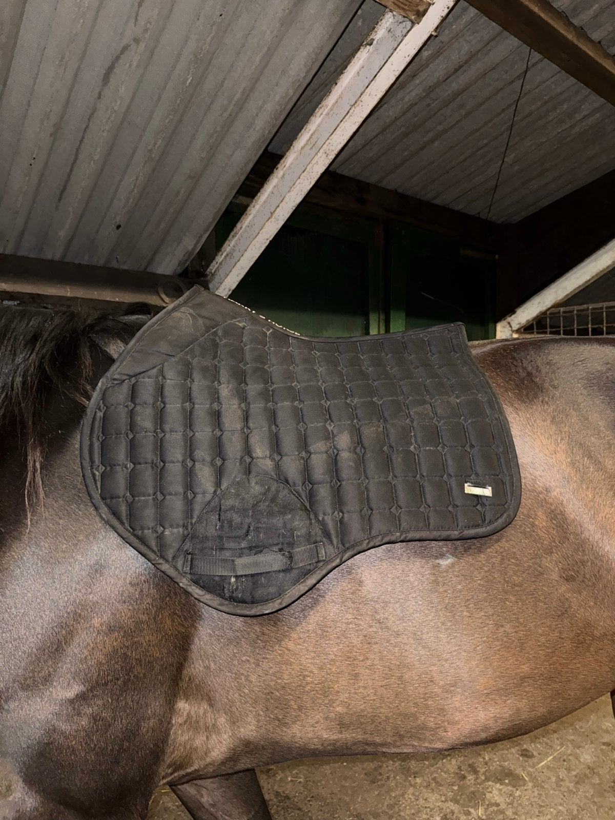 Harry horse dekje, Dieren en Toebehoren, Ophalen of Verzenden, Gebruikt, Veelzijdigheid