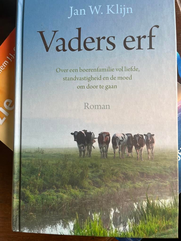 Vaders erf - Jan W. Klijn (Roman), Ophalen of Verzenden, Gelezen, Nederland