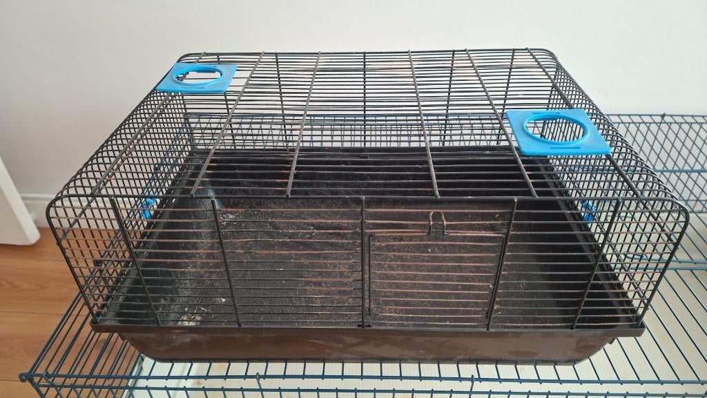 Caviakooi, Dieren en Toebehoren, Knaagdieren en Konijnen | Hokken en Kooien, Kooi, Gebruikt, 75 tot 110 cm, Cavia