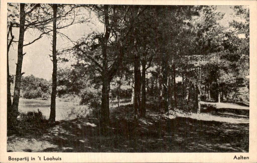 Aalten - Bospartij - t Loohuis, Ophalen of Verzenden, 1940 tot 1960, Ongelopen, Gelderland
