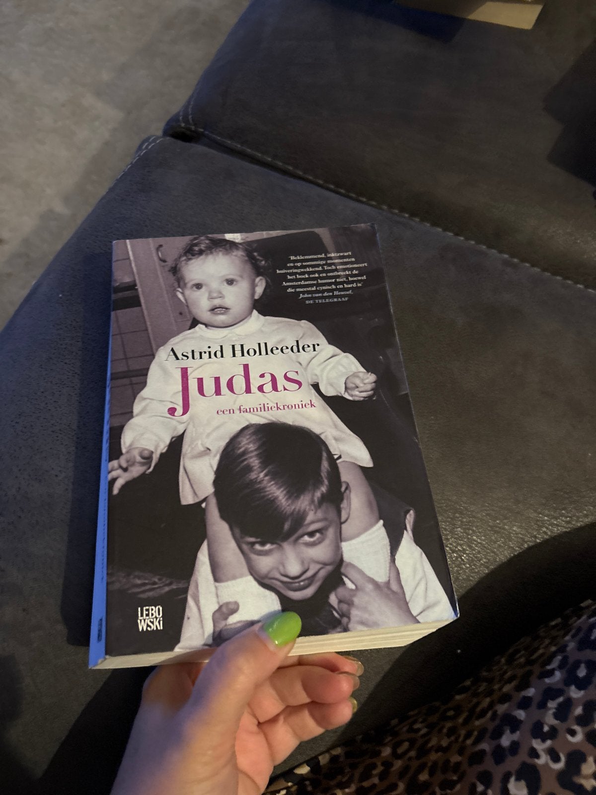 Judas - Een familiekroniek door Astrid Holleeder, Ophalen of Verzenden, Gelezen, Nederland
