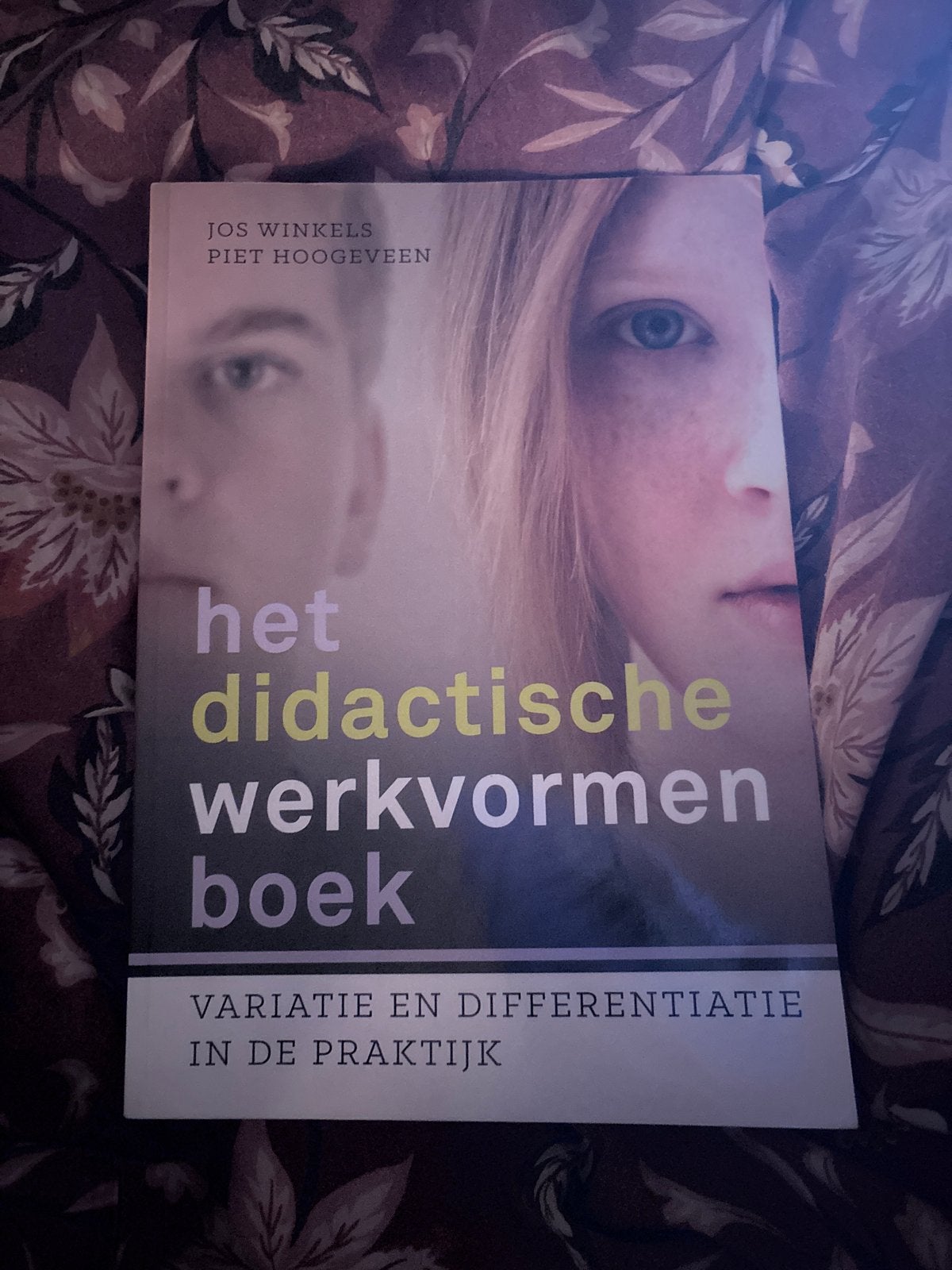 Het didactische werkvormenboek - Jos Winkels & Piet Hoogevee, Boeken, Studieboeken en Cursussen, Ophalen of Verzenden, Gamma, Zo goed als nieuw