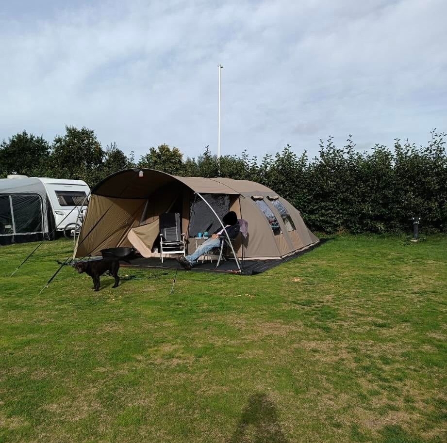 Falco Zee Arend 6 persoons tunneltent, Ophalen, Gebruikt, Tot en met 6