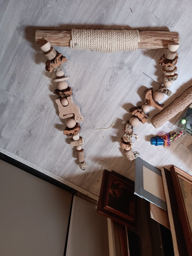 compleet papegaaien ara verblijf, Dieren en Toebehoren, Meerdere dieren, Papegaai