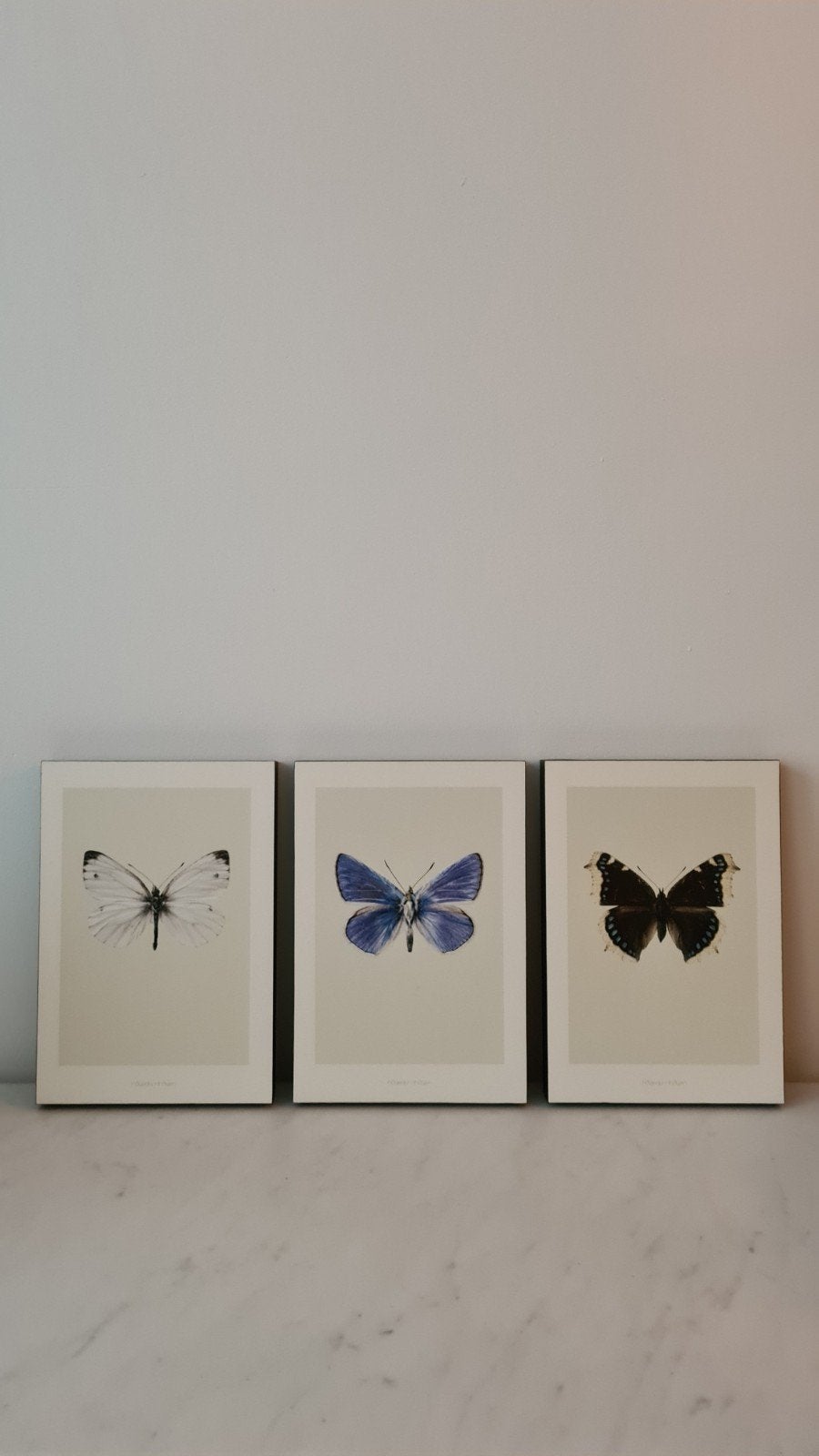 Set van 3 houten lijstjes met vlinder print, Ophalen, Minder dan 50 cm, Gebruikt, Print