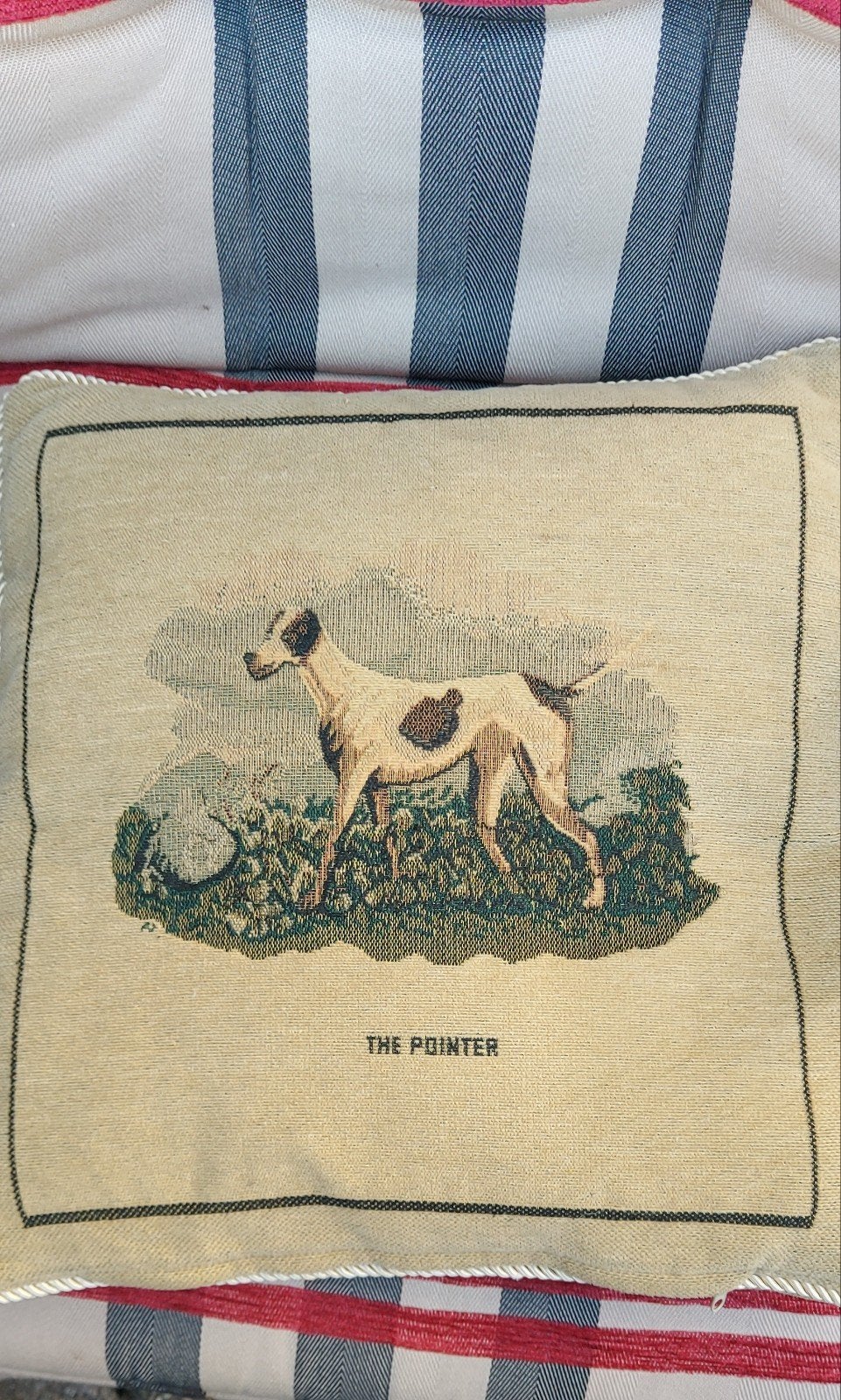 Sierkussen met Pointer hond, fluweel, donsvulling, Ophalen of Verzenden, Zo goed als nieuw