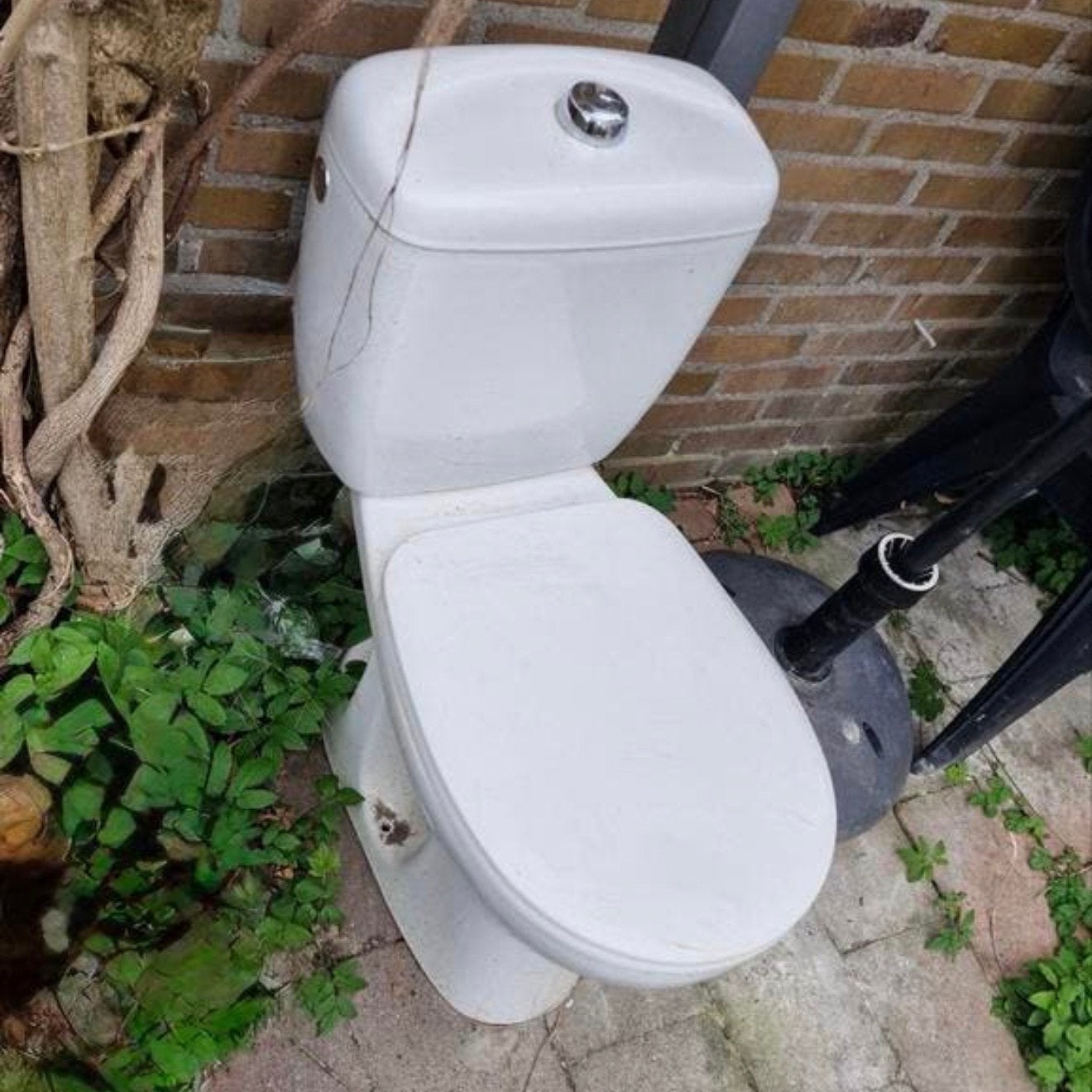 Duravit WC, Ophalen, Nieuw, Toilet