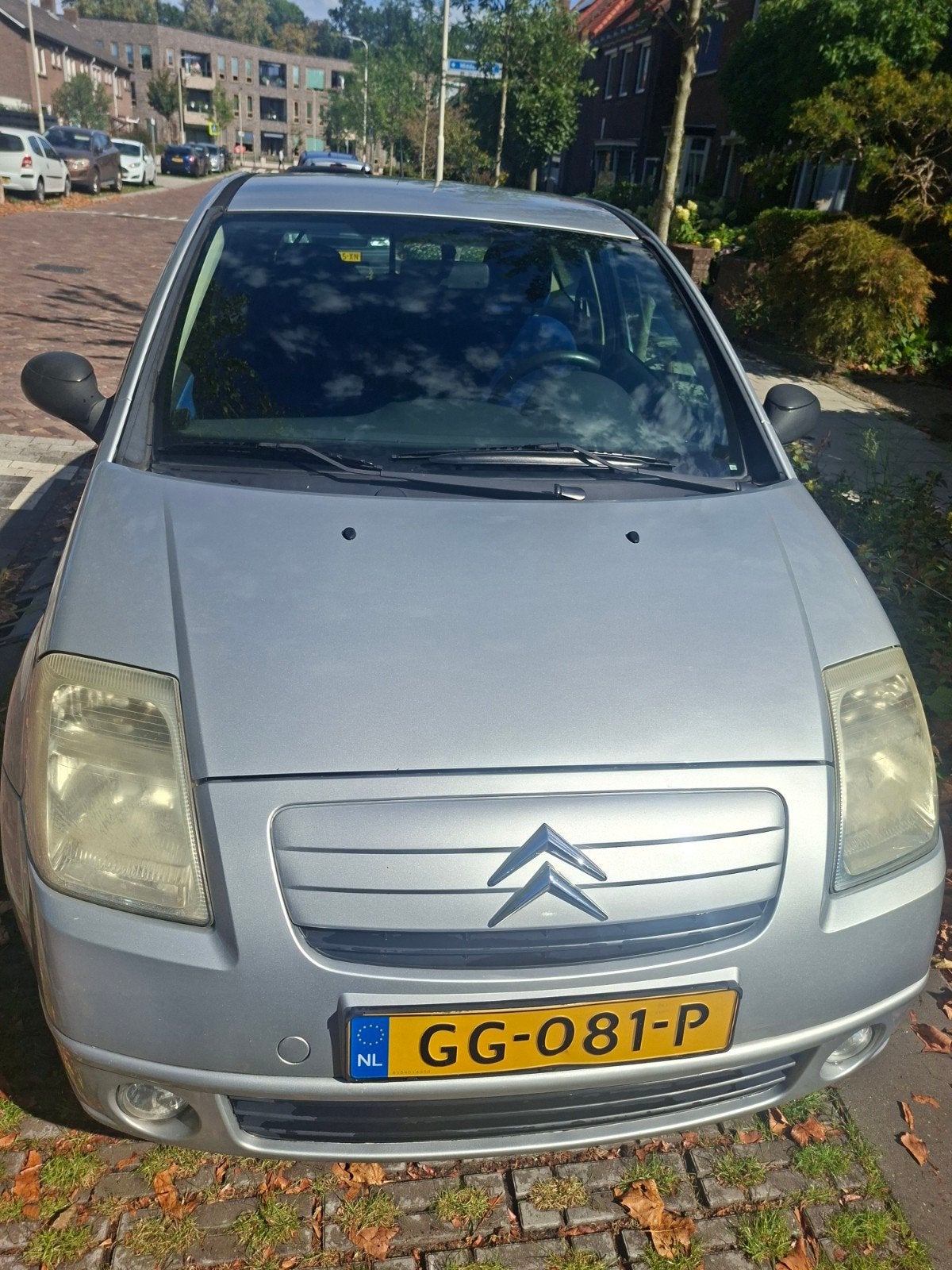 Citroën C2 1.4 I 2006 Grijs, Voorwielaandrijving, 450 kg, 4 cilinders, 965 kg
