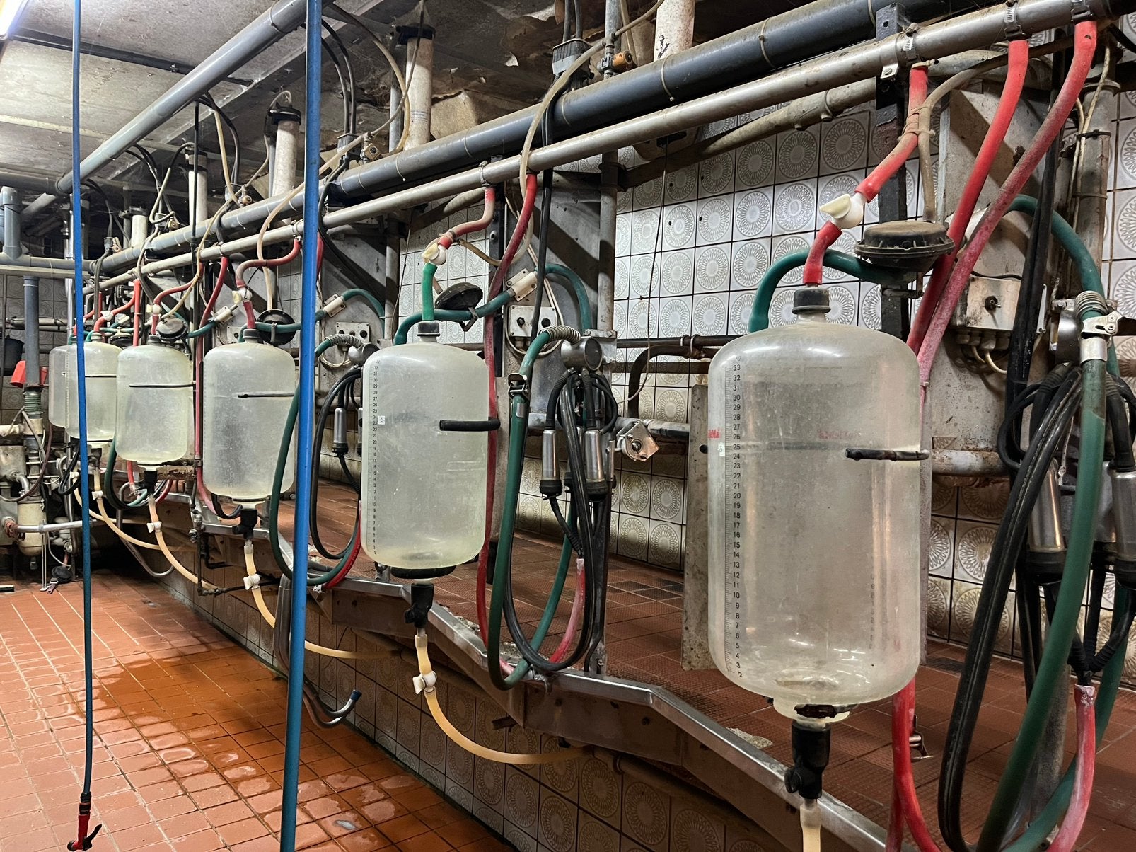 Surge melkstal 2x6 evt onderdelen, Ophalen, Gebruikt