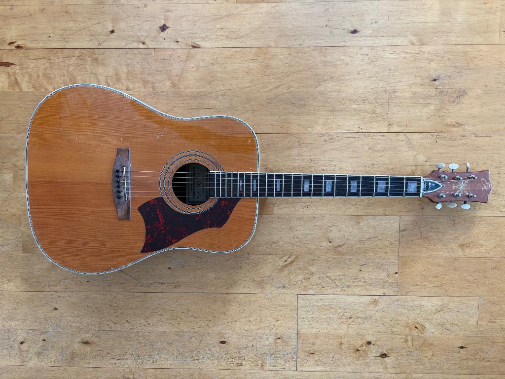 Eko Rio Bravo 6, Muziek en Instrumenten, Ophalen, Gebruikt, Western- of Steelstringgitaar