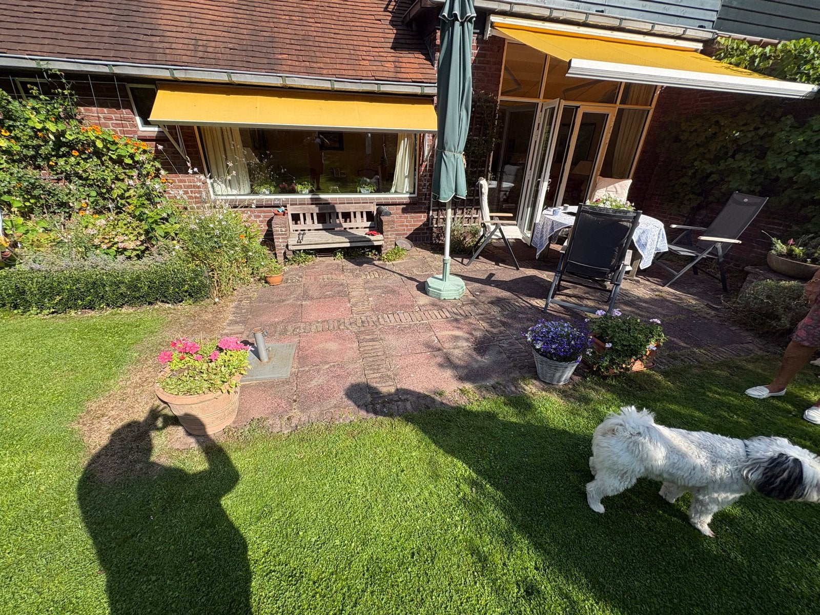 Tegels gratis 15 meter, Ophalen of Verzenden, Gebruikt