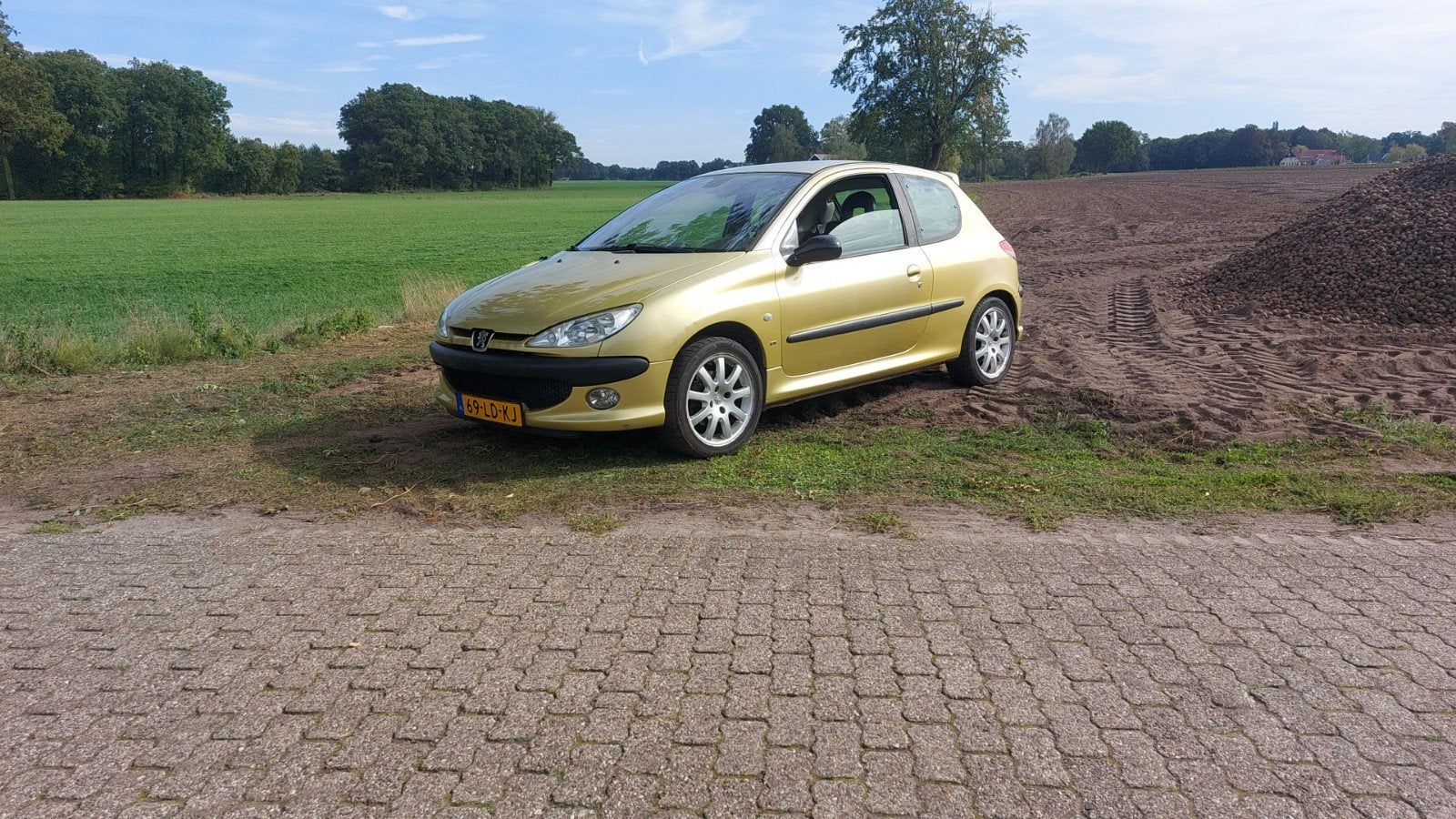 Peugeot 206 2.0 GTI 16V 3D 2002 Geel, 1025 kg, 136 pk, 40 €/maand, 4 cilinders