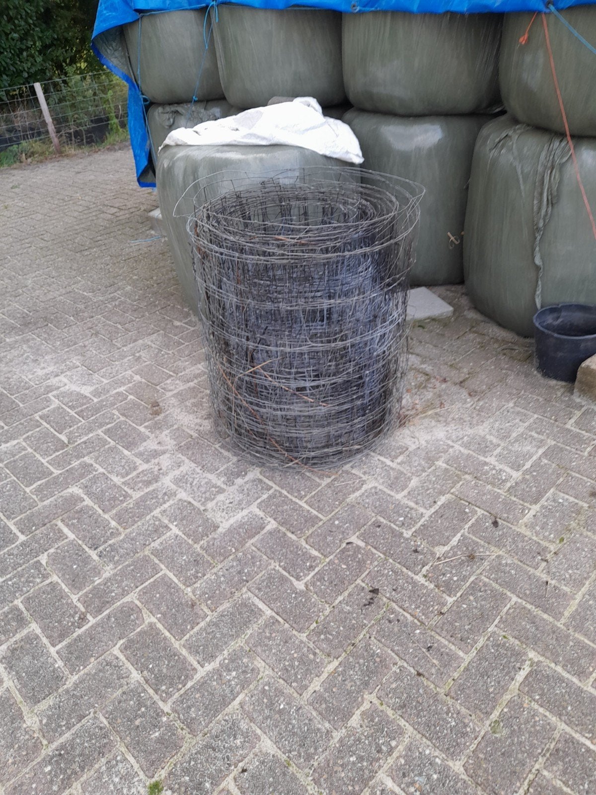 schapengaas, Ophalen, Minder dan 10 meter