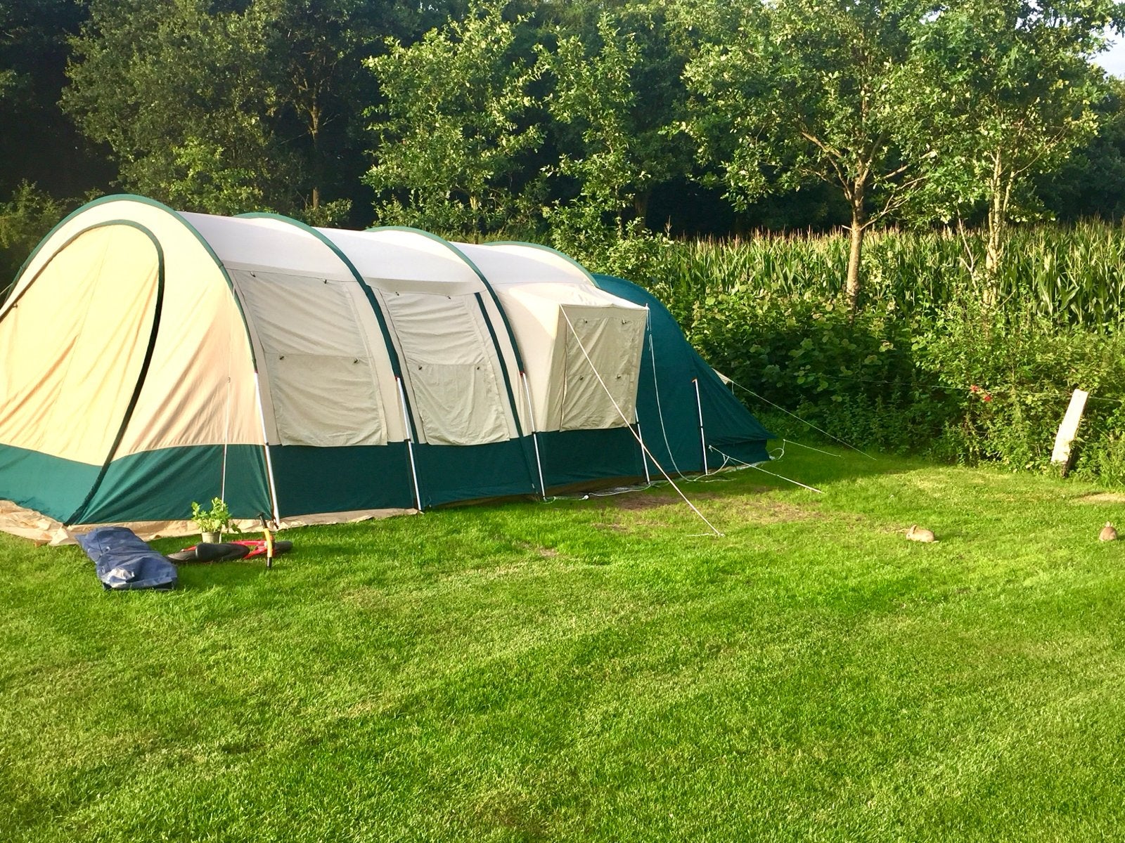 Obelink Canvas Tunneltent Explorer 6, Caravans en Kamperen, Tenten, Ophalen, Gebruikt, Tot en met 6