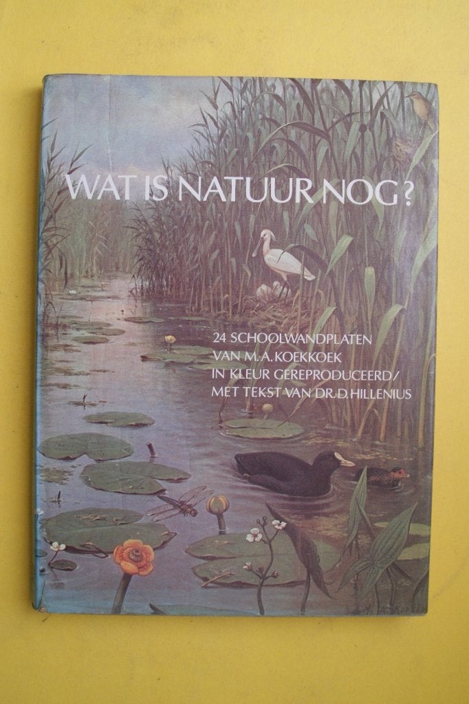 Wat is natuur nog? Schoolwandplaten M.A. Koekkoek, M.A. Koekkoek, Dr. D. Hillenius, Ophalen of Verzenden, Zo goed als nieuw, Natuur algemeen