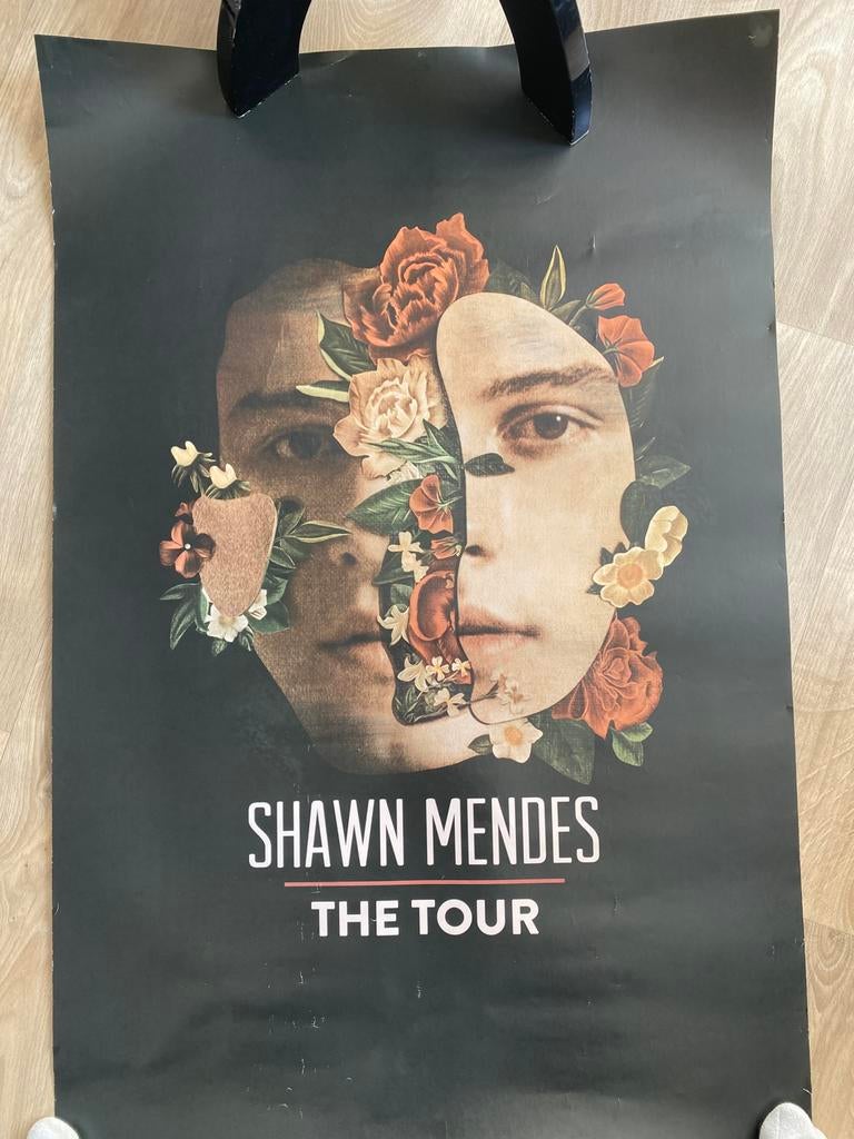 Shawn Mendes Tour Poster, Verzamelen, Ophalen of Verzenden, Gebruikt