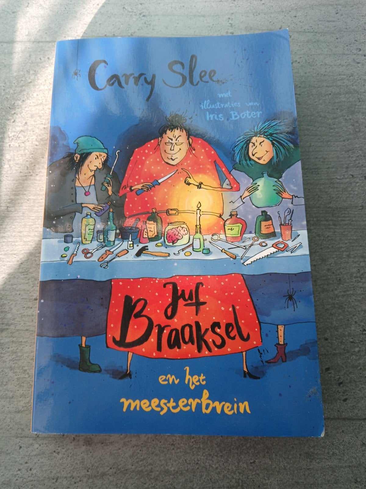 Juf braaksel en het meesterbrein, Boeken, Ophalen of Verzenden, Zo goed als nieuw