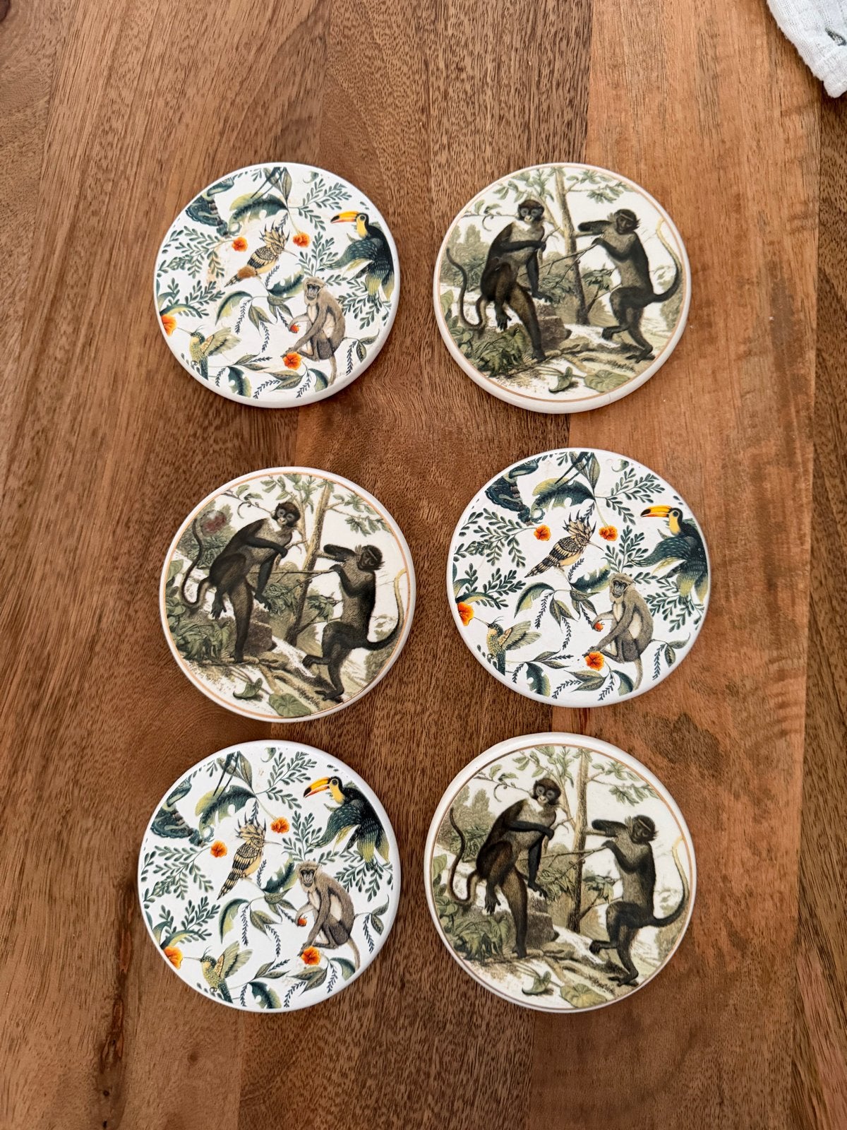 Set van 6 stenen onderzetters “Monkies” Lucy’s Living, Ophalen, Nieuw