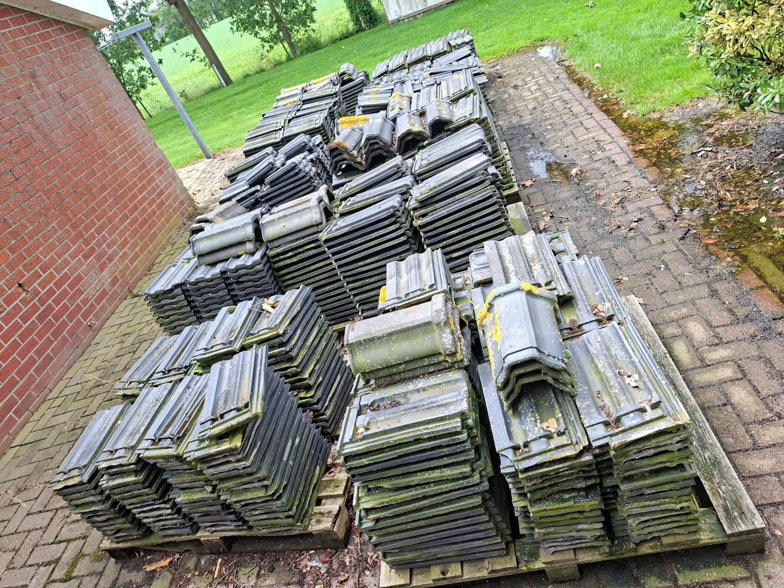 Gebruikte TEEUWEN Dakpannen (1932), Ophalen, Gebruikt, Steen of Klei, 15 m² of meer