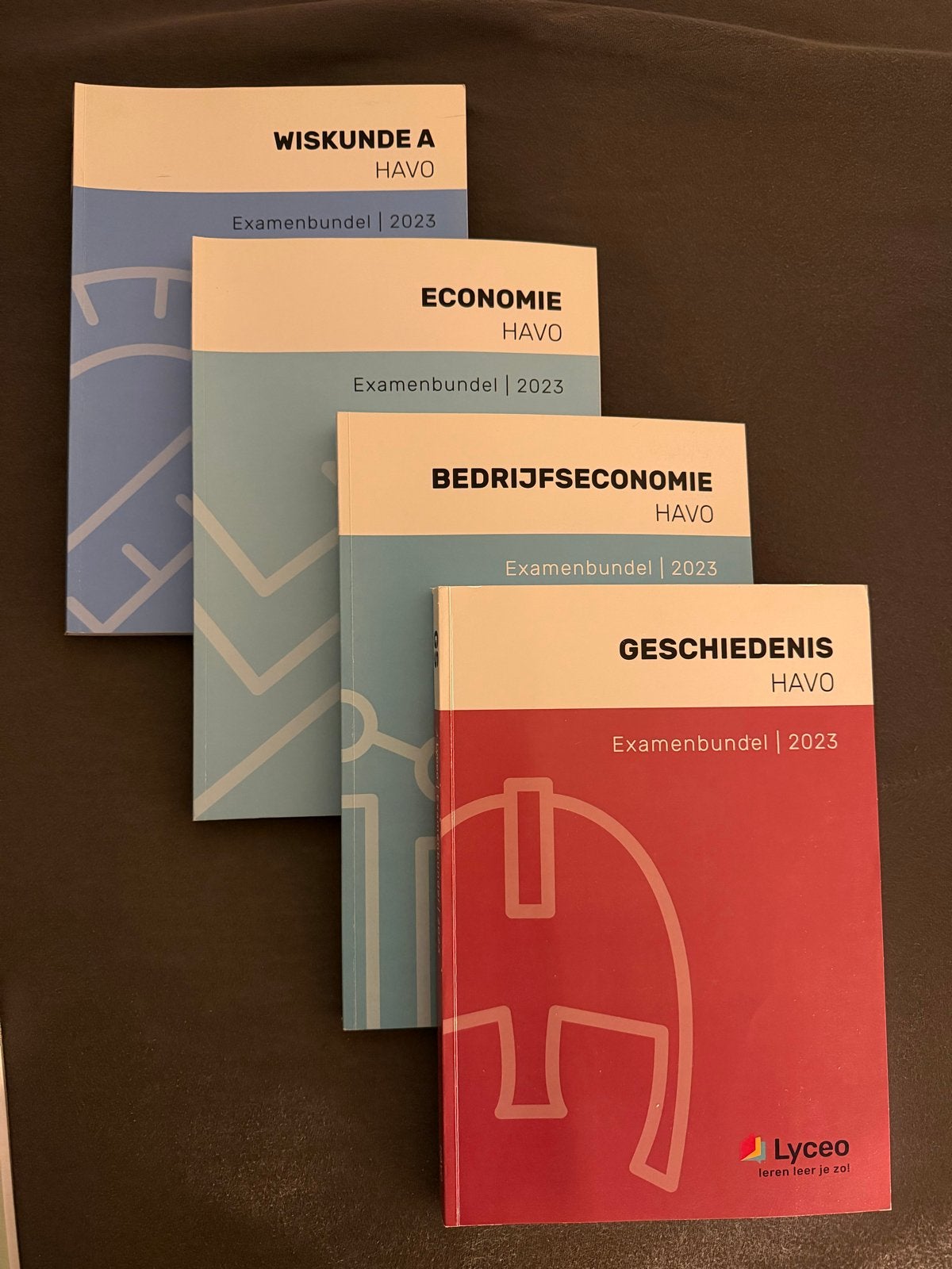 4 Lyceo Examenbundels HAVO 2023 (Wiskunde A, Economie, Bedri, Ophalen, Alpha, Zo goed als nieuw, Overige niveaus
